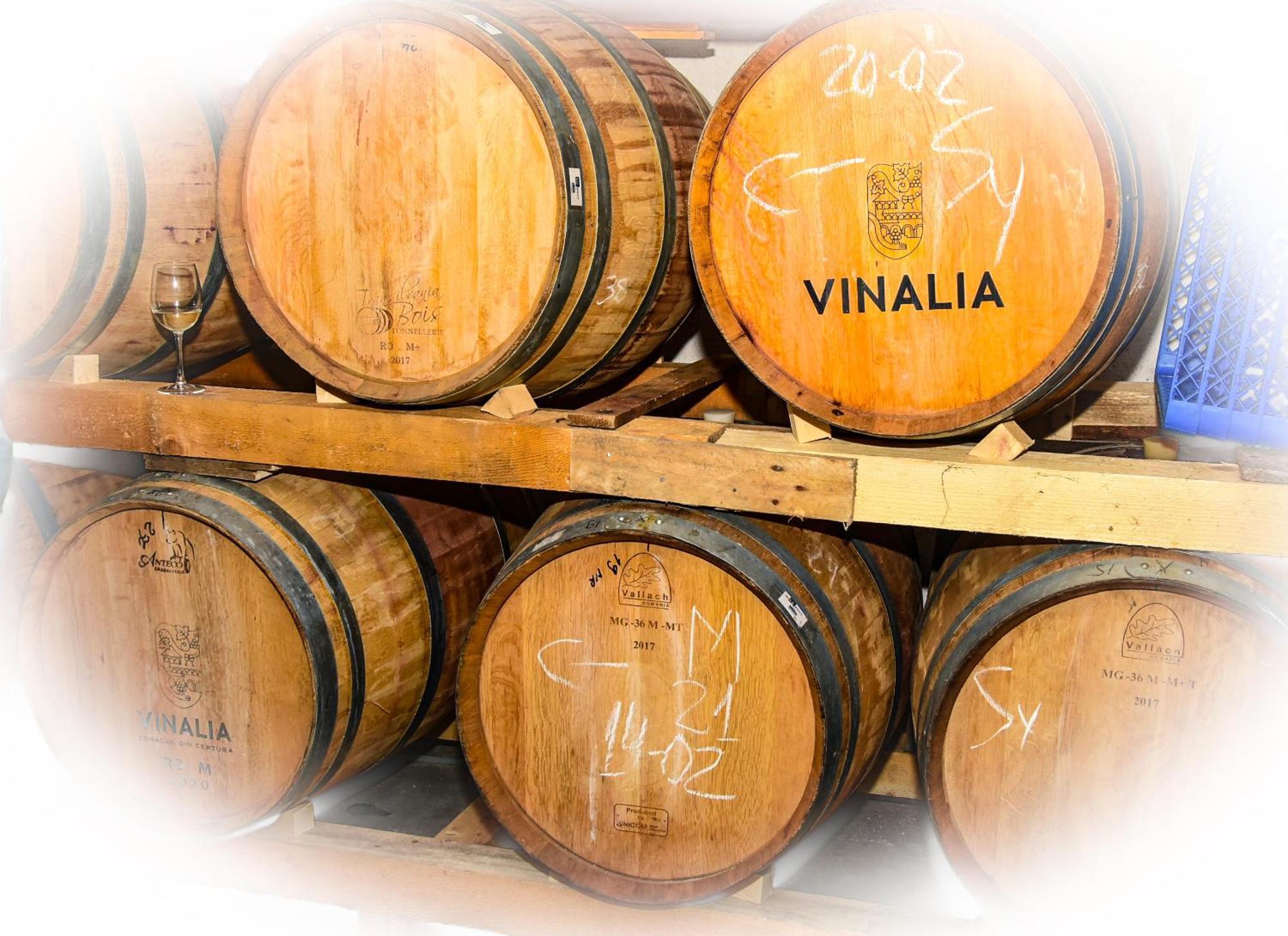Vinalia - Conacul Din Ceptura